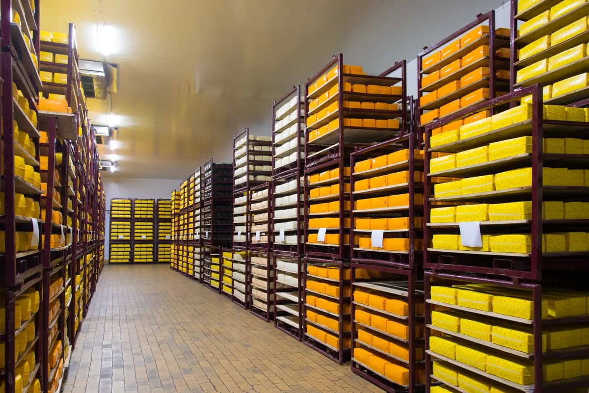 Produce stored on shelves in a refrigerated warehouse